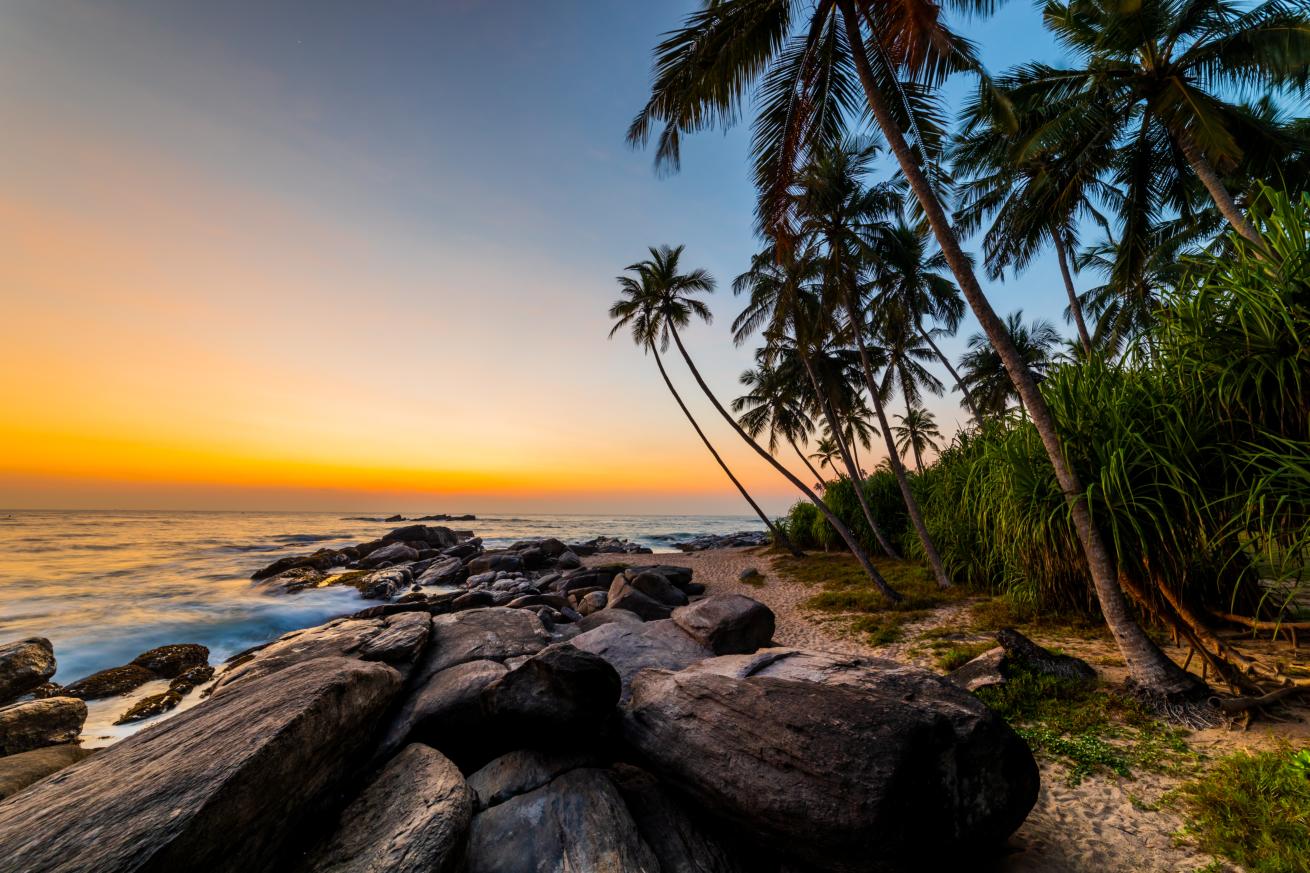 Coucher de soleil sur la plage avec des palmiers sur l’île Barbade ...